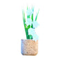 Creative Succulent Cactus Potted Decorative Ornaments