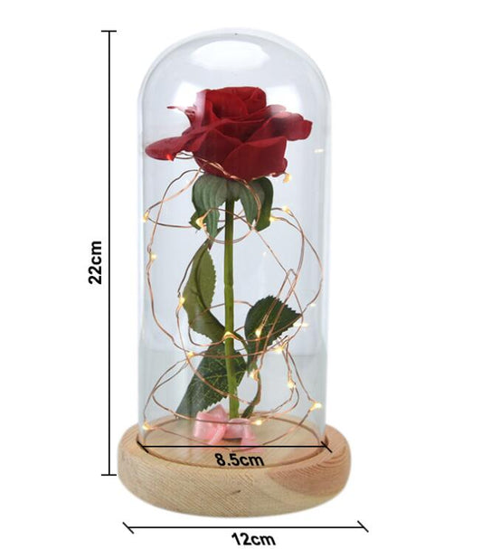 Enchanted Forever Rose Flower In Glass LED Light Home Decoration