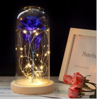 Enchanted Forever Rose Flower In Glass LED Light Home Decoration