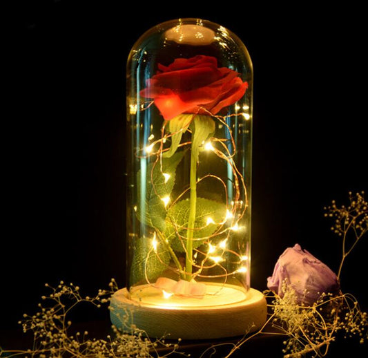 Enchanted Forever Rose Flower In Glass LED Light Home Decoration