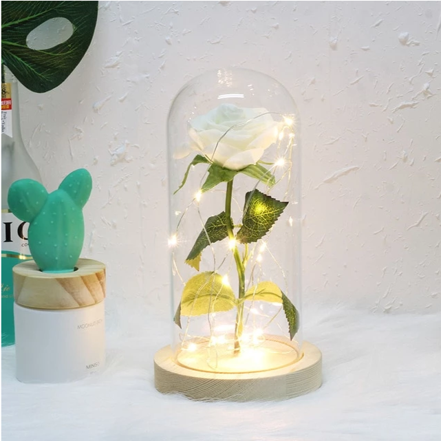 Enchanted Forever Rose Flower In Glass LED Light Home Decoration